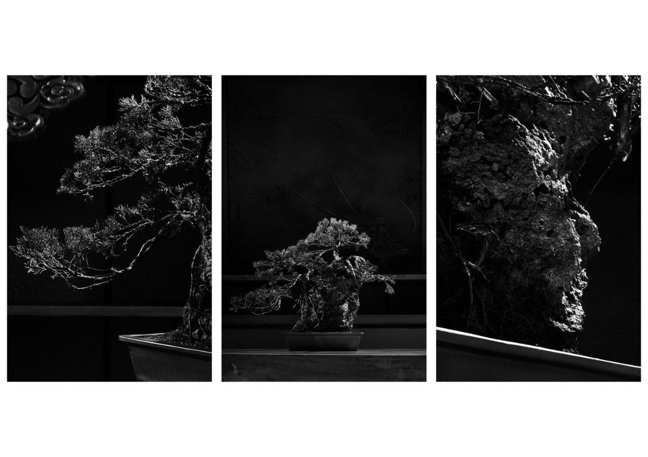 Ha-Mon Slope Side Hotel And Private Chalet Otari Exterior foto